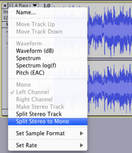 Audacity Track drop-down menu > Split Stereo to Mono