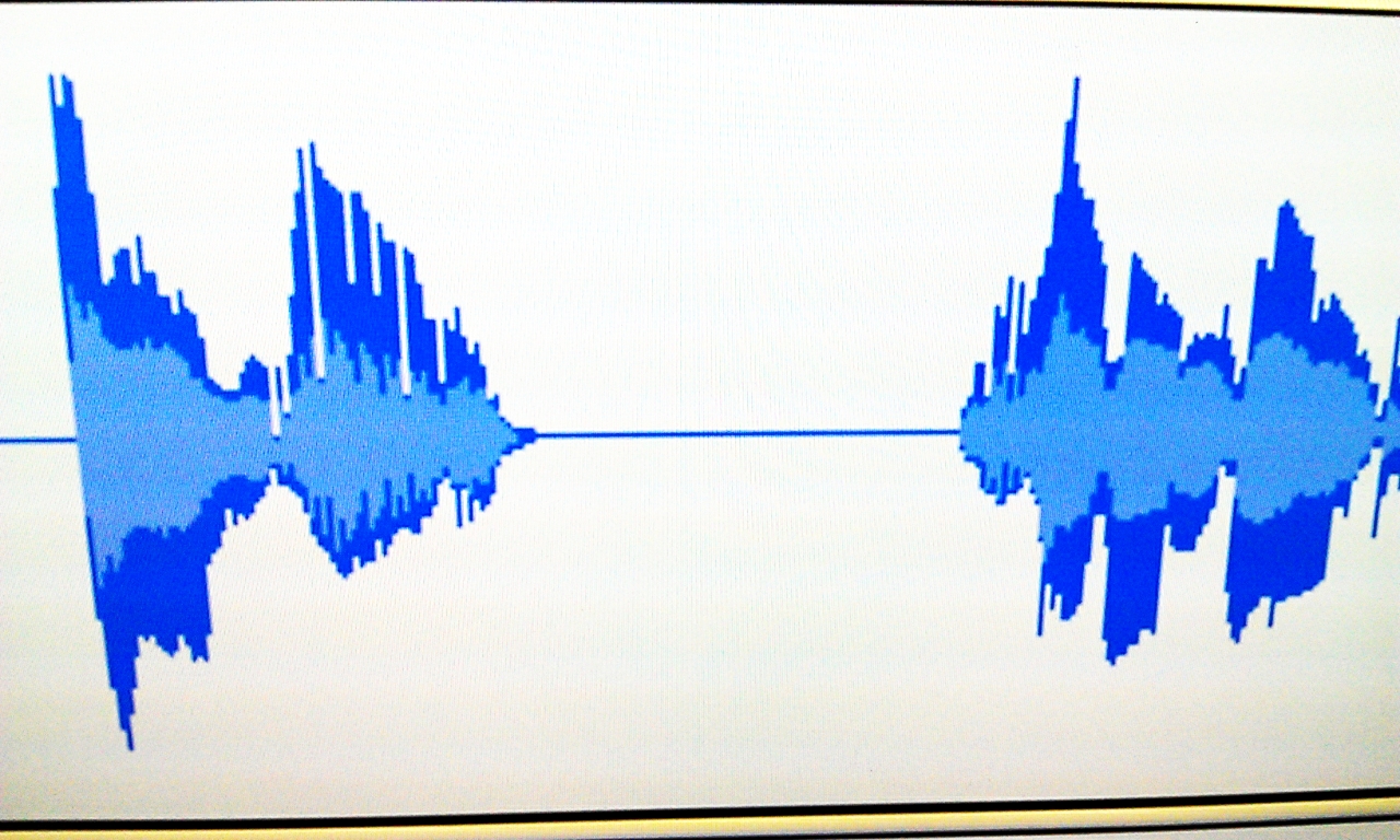 Silence in Audacity waveform